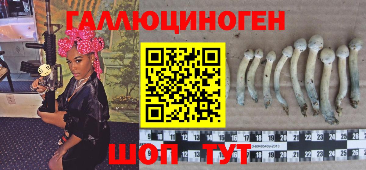 где купить наркотик  Вход с VPN  Киров  Псилоцибиновые грибы GOLDEN TEACHER 